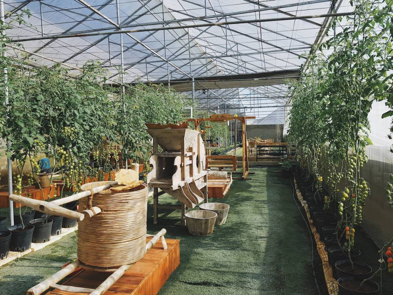 Green Box Vietnam Cafe - 42 Xô Viết Nghệ Tĩnh, Thành phố Đà Lạt, Tỉnh Lâm Đồng