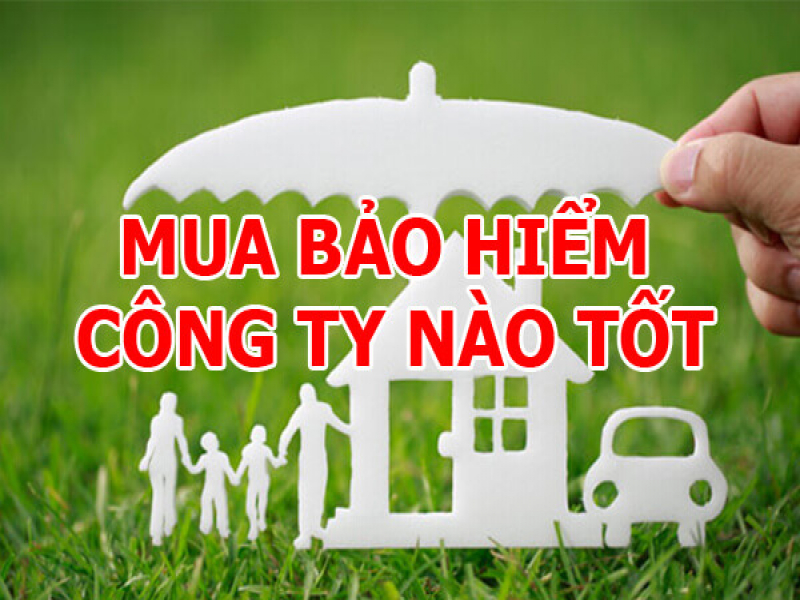 Công ty bảo hiểm nhân thọ nào tốt nhất ở Việt Nam?