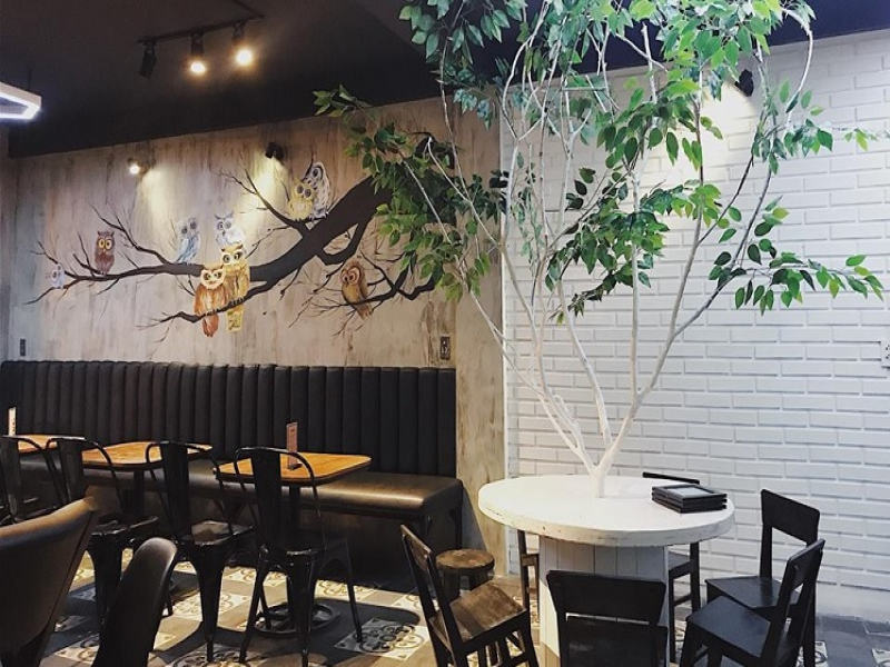 OWL Coffee - 8 Phong Châu, Huế