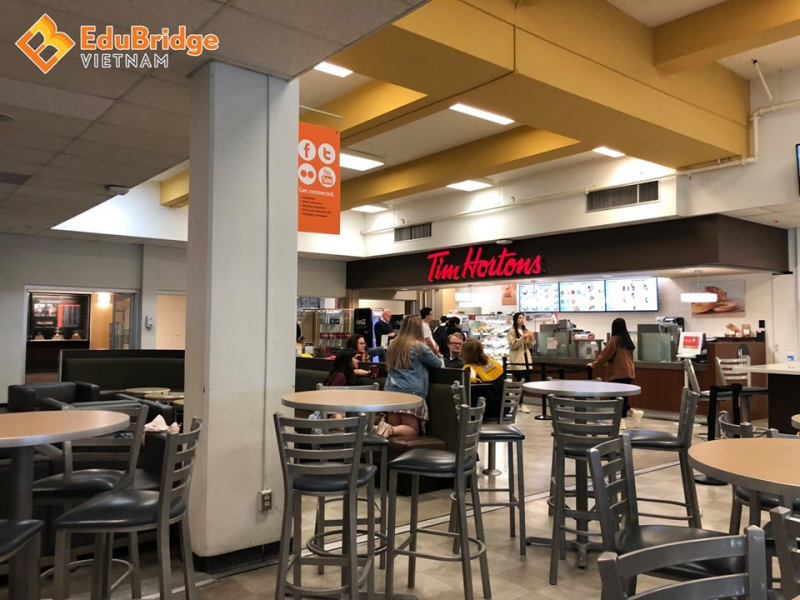 Công ty TNHH Edubridge Việt Nam - Lô A25, Khu quy hoạch Bàu Vá 1, P. Thủy Xuân, TP. Huế