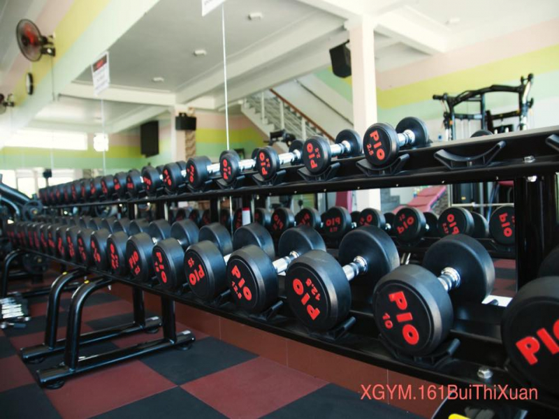 XGYM - 161 Bùi Thị Xuân, Bàu Vá, Tp Huế