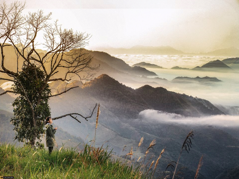 TOP Danh Sách Địa Điểm Chụp Hình Sống Ảo Được Yêu Thích Nhất Ở Nghệ An