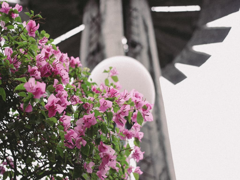 TOP Danh Sách Địa Điểm Chụp Hình Sống Ảo Được Yêu Thích Nhất Ở Quận 3