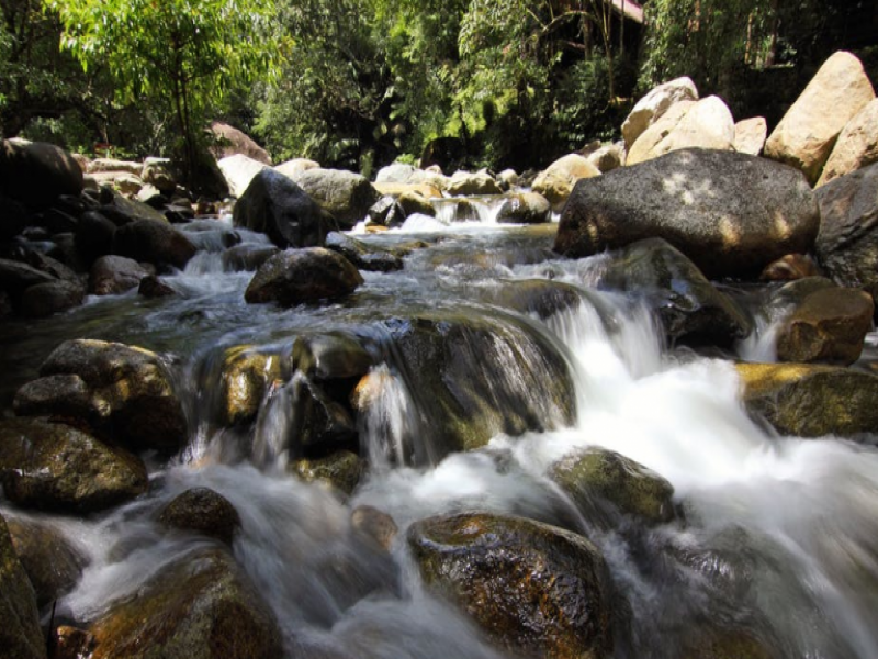 Suối Đá Bàn - Cửa Dương, Phú Quốc